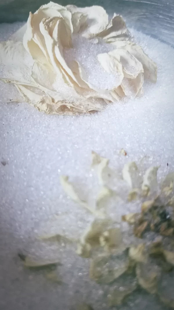 flowers drying in salt